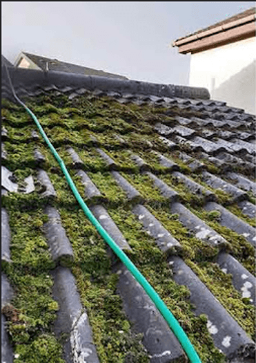 Tak før takvask: mose, alger og smuss på takstein